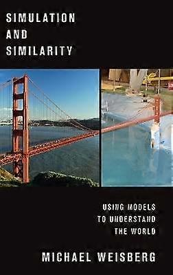 Simulation and Similarity