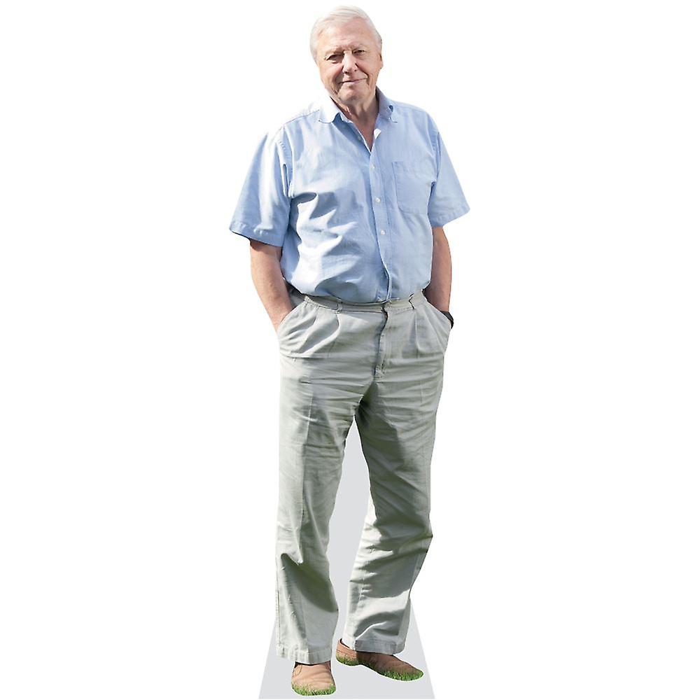 David Attenborough Cardboard Cutout (lifesize OR mini size). Standee. Stand Up.