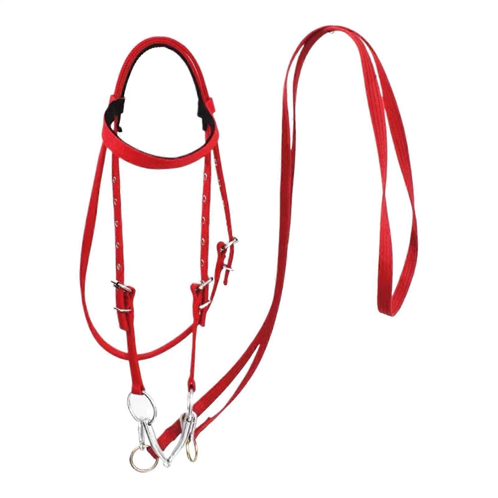 Adjustable Bridle Headstall for Horses, Reins Safety Cleaning with Snap Hooks