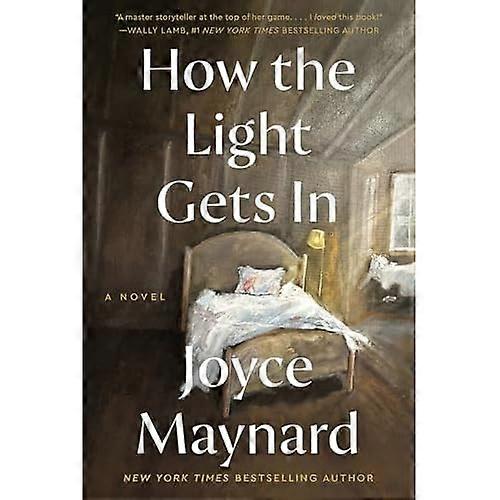 How the Light Gets in : a Novel