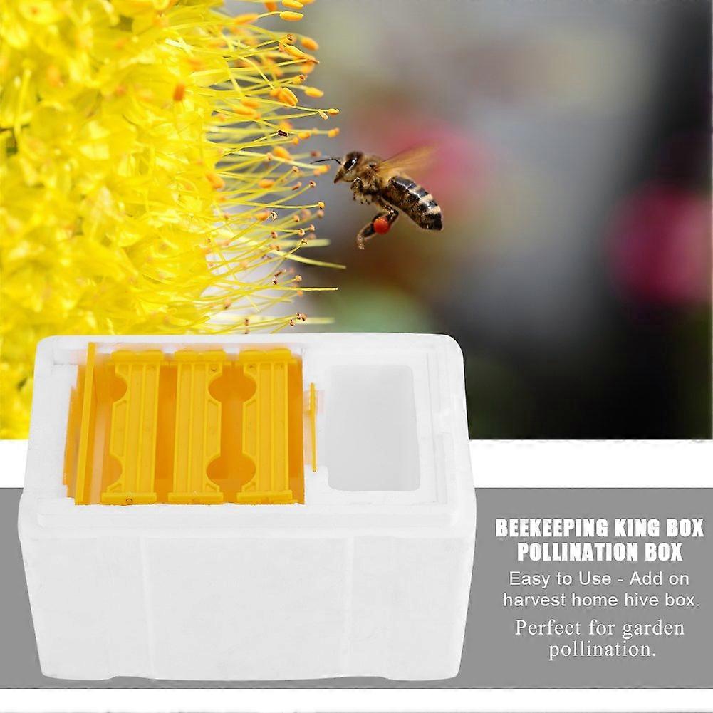 Bee Breeding King Box  Pollination Tool with White Washed Temperature Control Washed