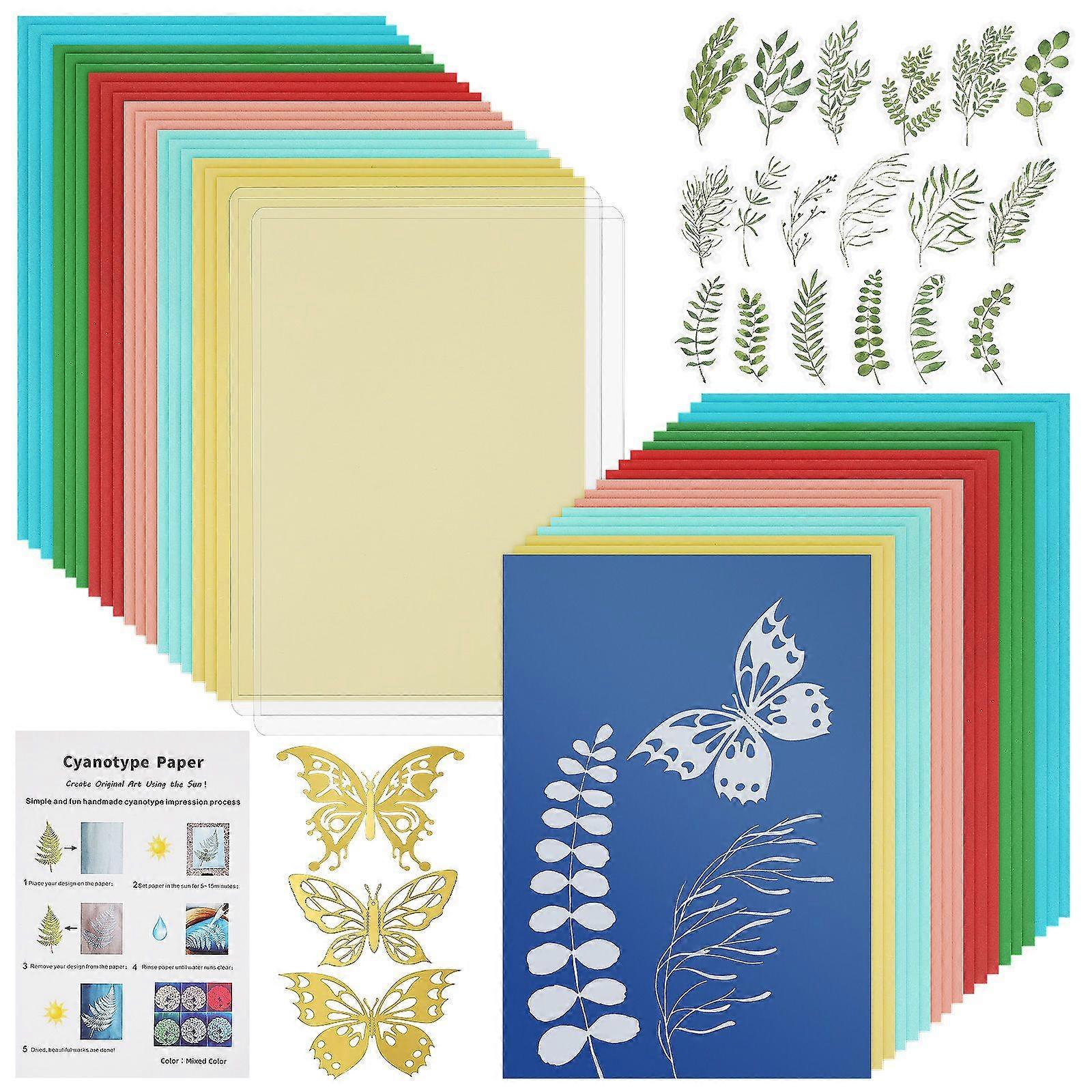 1 Set Cyanotype Printing Kit Diy Cyanotype Papers With Tools Sun Print Paper Kit For Handmade Floral Paper And Traditional Painting Material