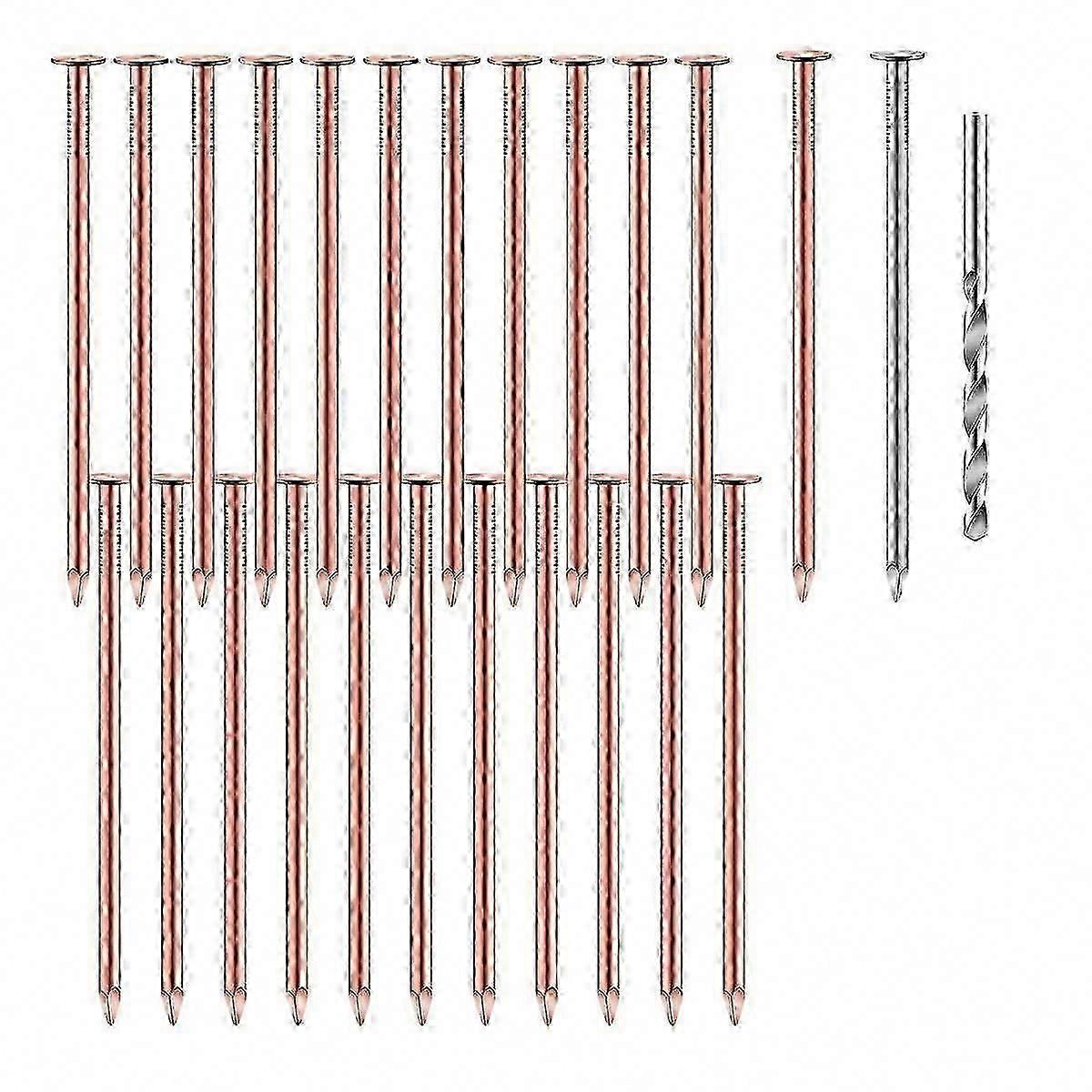 25 Pcs 3.5 Inch Pure Copper Nails for Killing Trees