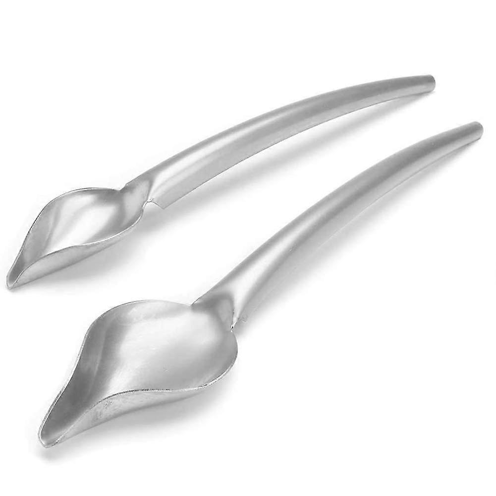 2 Pieces Stainless Steel Decorating Spoon Set with Precise Tips for Dessert and Plate Art