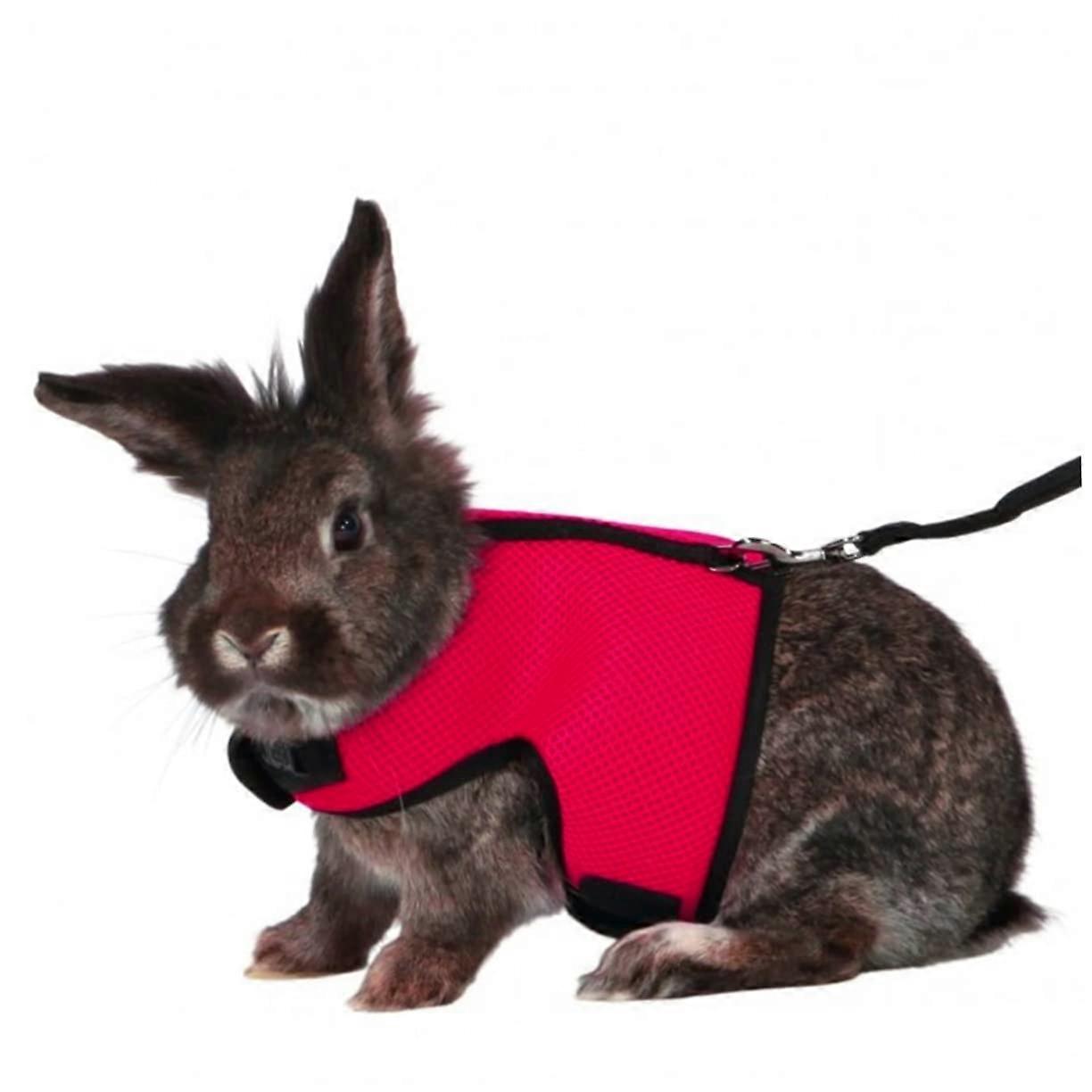 Rabbit Harness Leash for Walking, Breathable Adjustable Bunny Harness with Comfortable Control