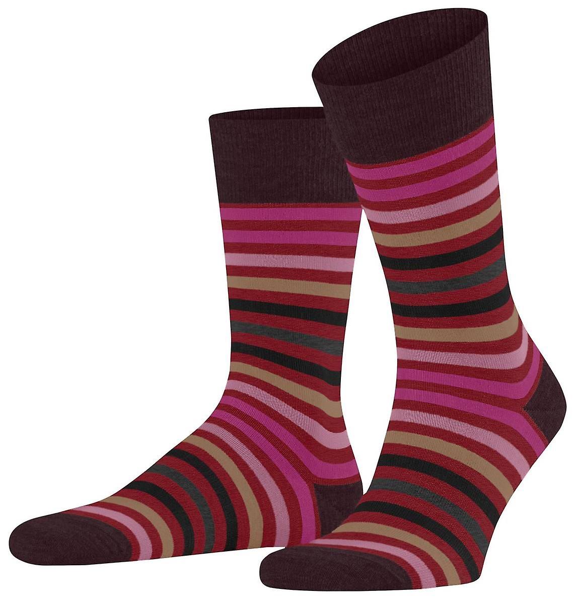 Falke Tinted Stripe Socks - Ingle Red