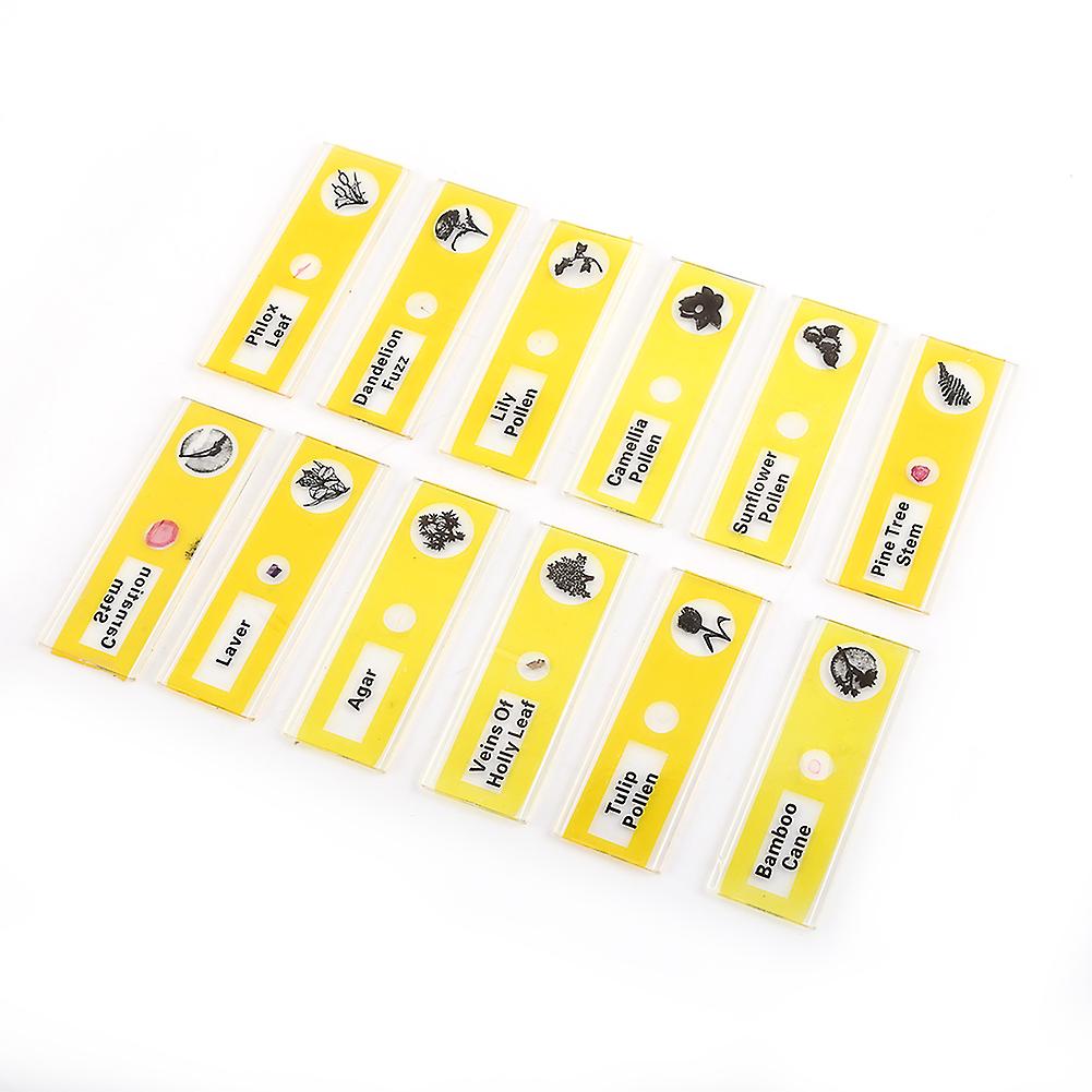 48pcs Plastic Prepared Microscope Slides Set with Colored Labels