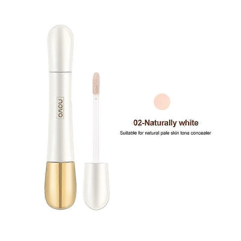 2 i 1 foundation anti-rynke concealer, foundation stick med indbygget børste