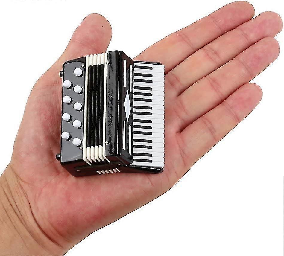Miniature Accordion With Case Mini Musical Instrument Replica Collectible