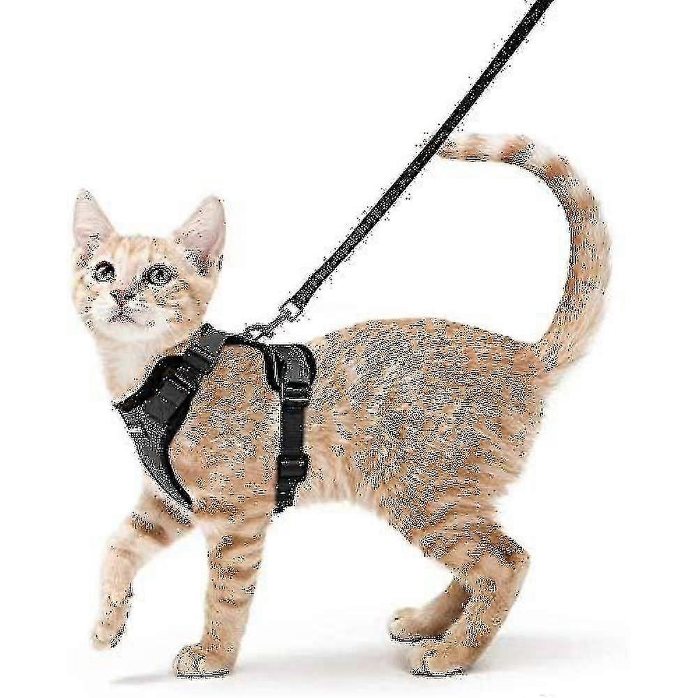 Rabbitgoo Cat Harness And Leash For Walking, Escape Proof Soft Adjustable Vest Harnesses For Cats, Easy Control