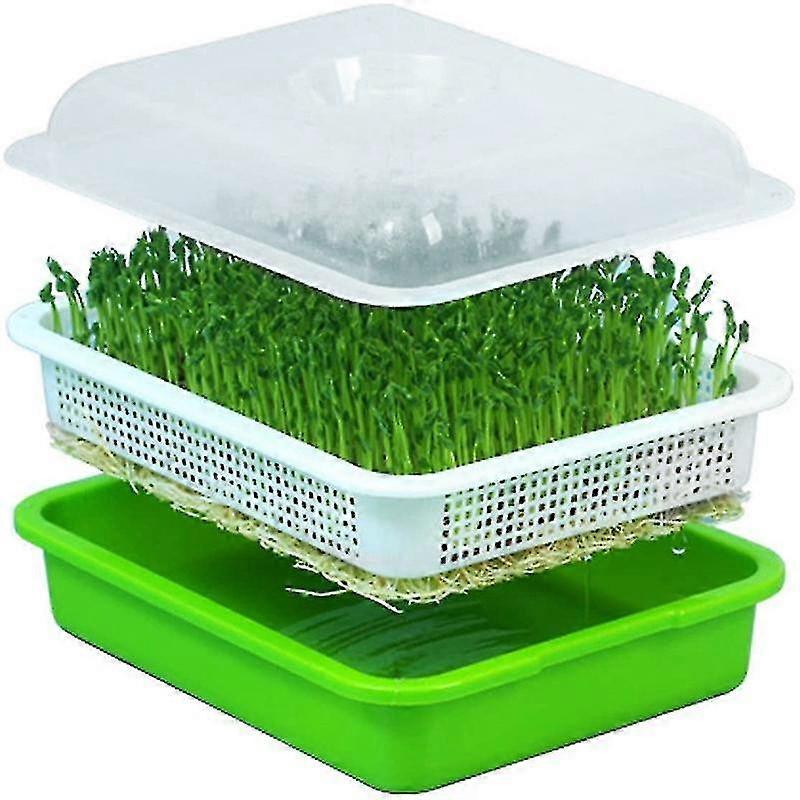 Seed Sprouter Brick med lock Bpa Free Bean Sprout Grower Sprouting Seeds Tray, Dirt Free Way And Big (haoyi
