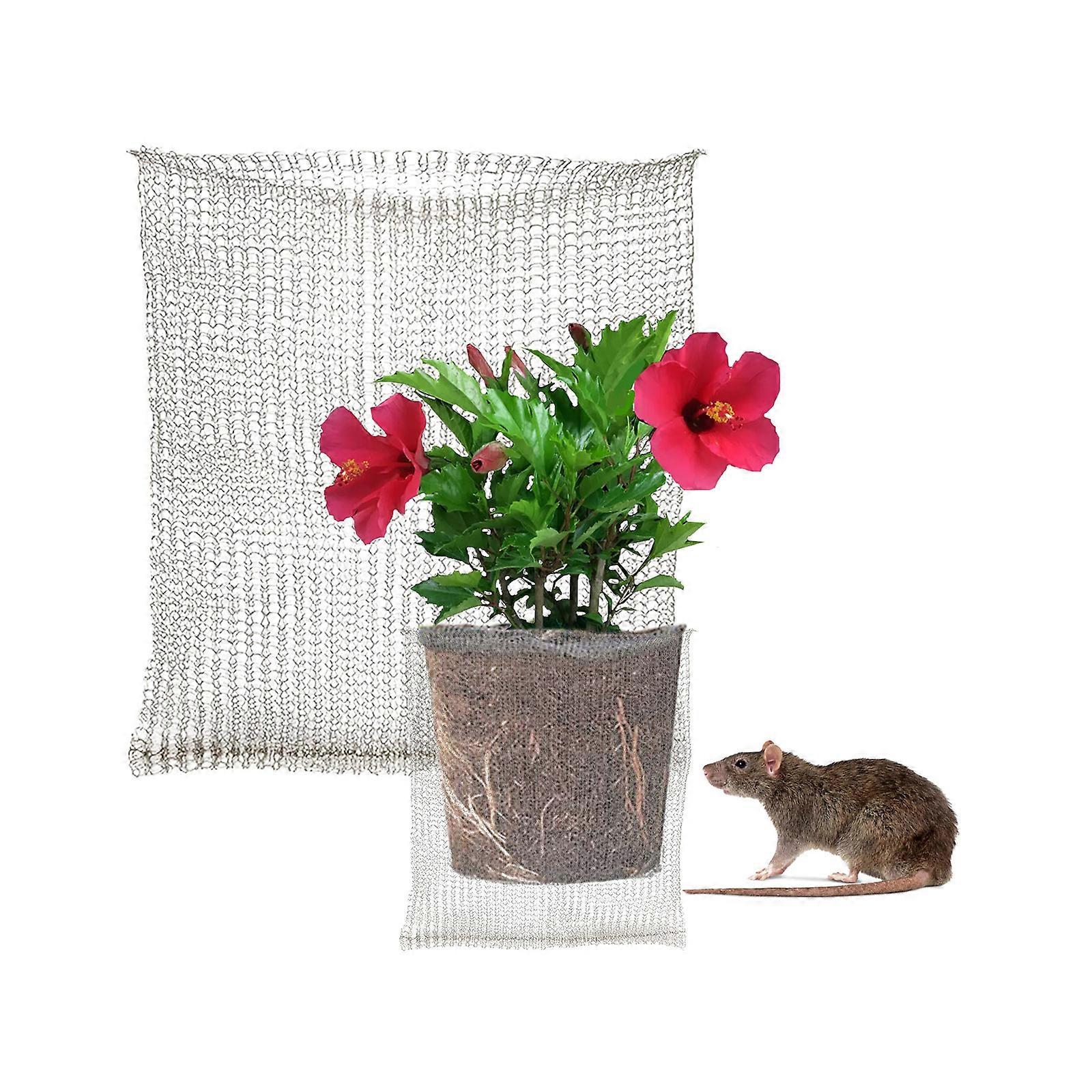 Resistente in acciaio inossidabile Guard Basket Protective Net Plant Pot Root Protector Mesh Bag
