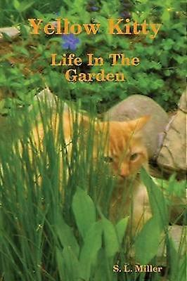 Yellow Kitty Life In The Garden