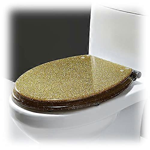 Glitter Oval Soft Close Toilet Seat with Quick Release Mechanism, Resin Material, Easy Clean Design, Bathroom Accessory