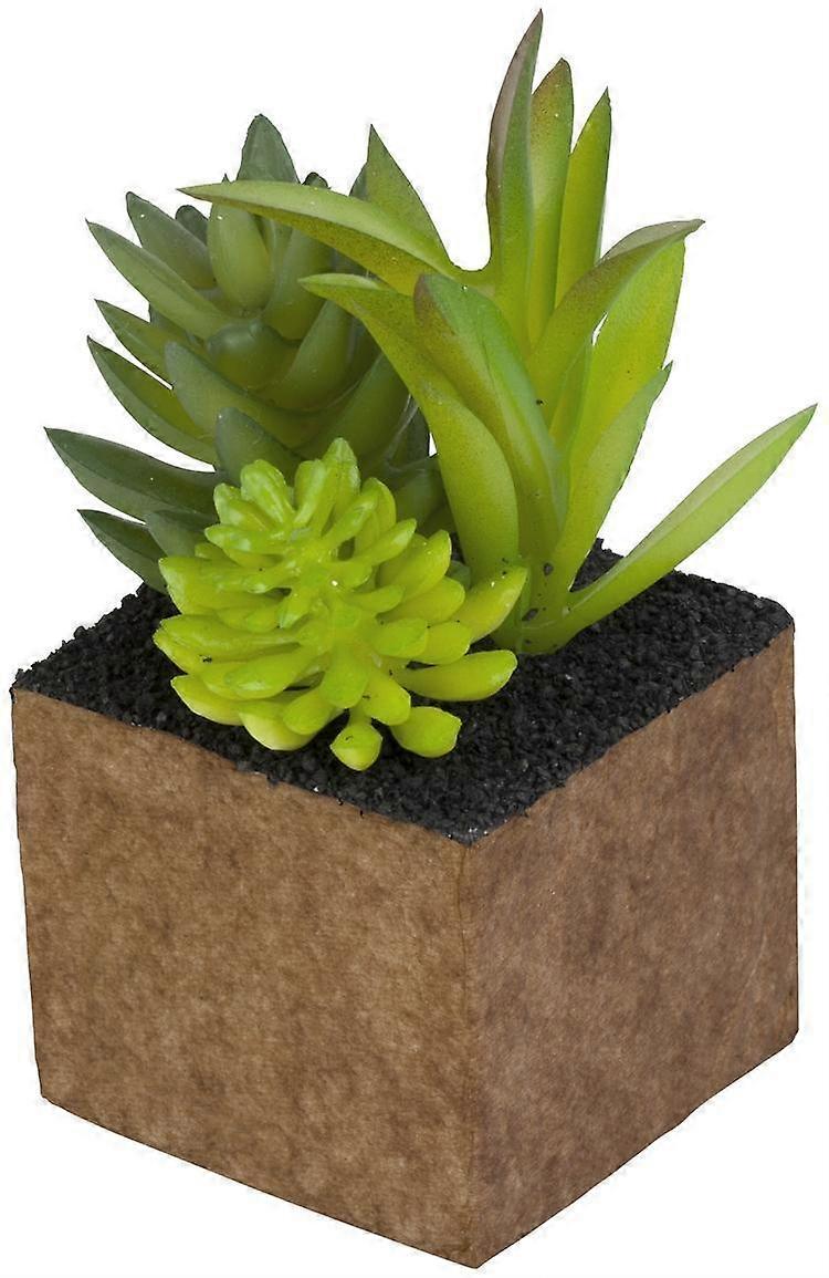 Pflanze Künstlicher Mini Cube Kult Design