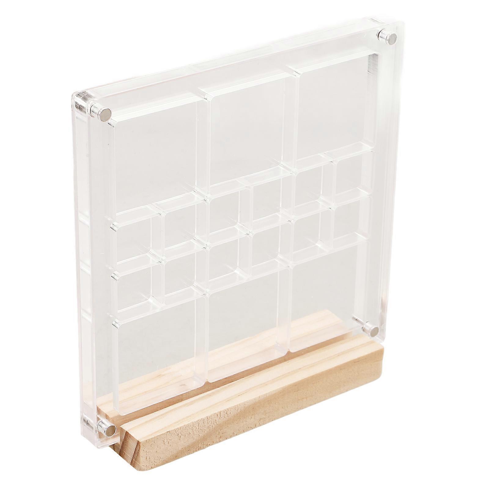 Transparent Seashell Box 2Pcs Acrylic Storage Solution For Specimens Mini Jewelry Display Wood Base Elegant Decor