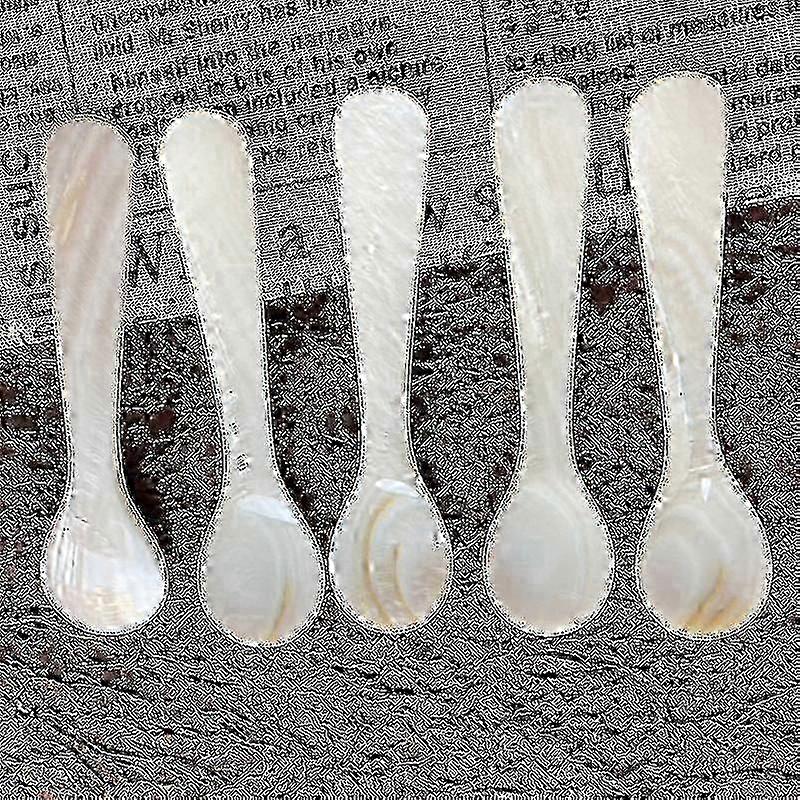 Set Of Caviar Spoons (2 Pieces) – Shell Spoon, Mother Of Pearl Caviar Spoons With Round Handle For Caviar, Egg, Ice Cream, Coffee