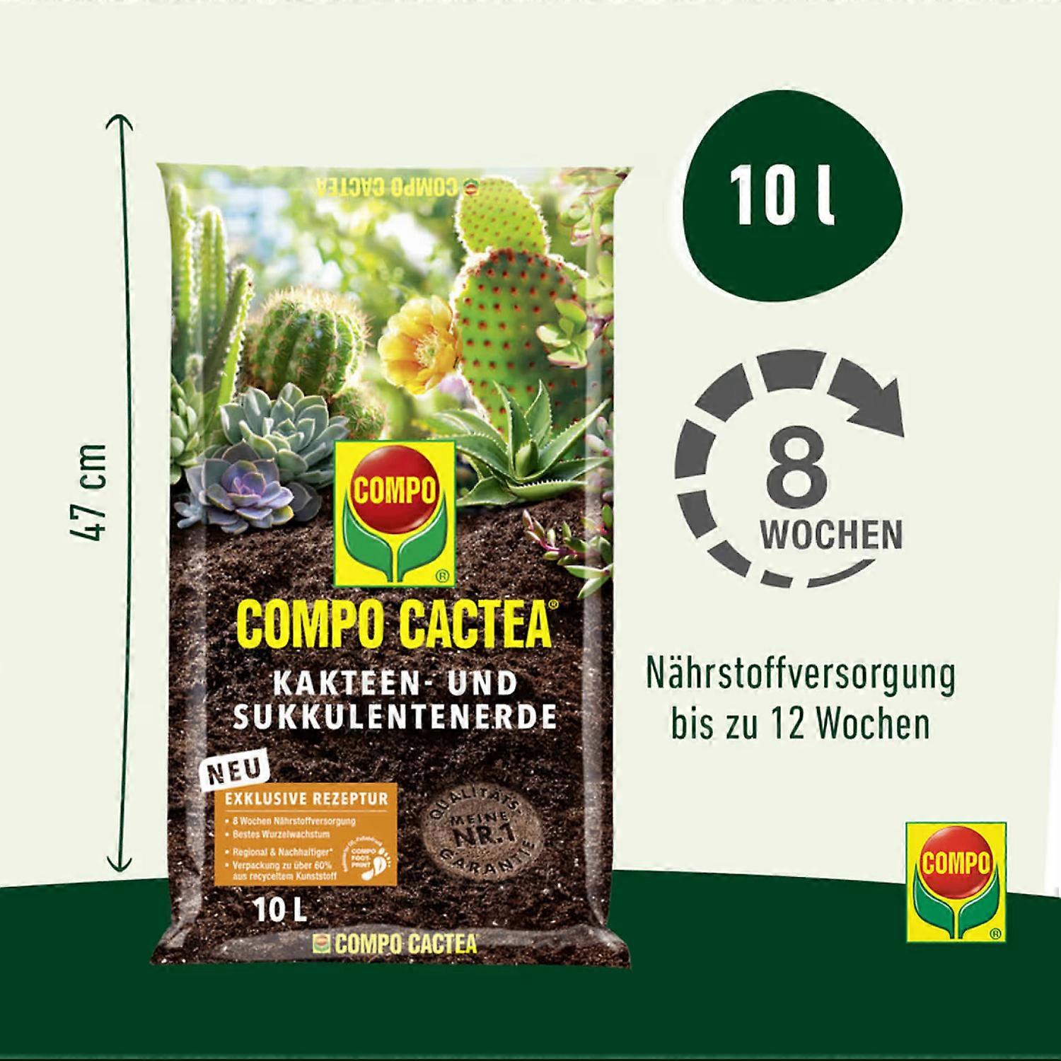 rote linsen saatgut Rote Linsen Bio-Keimsaat – Keimgrün