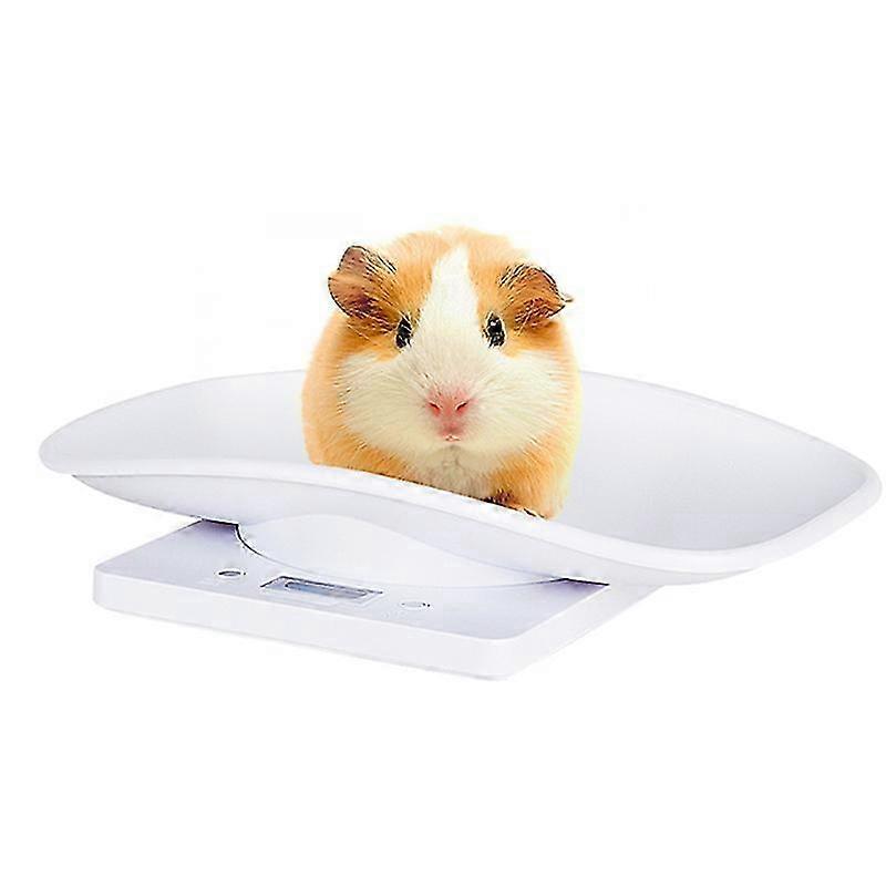 Electronic Pet Scale, Small Digital Scale, 10kg/1g Lcd Display Scale Precision Measurement Weighing Tool For Kitchen Kitten Puppies Turtle Hamster
