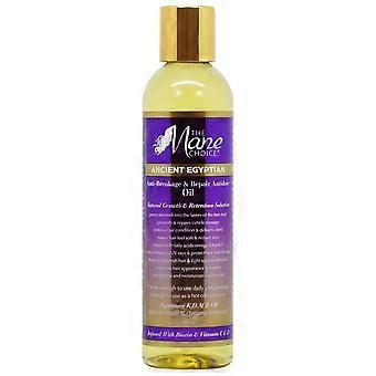 The Mane Choice Ancient Egyptian Anti-Breakage Oil 8oz