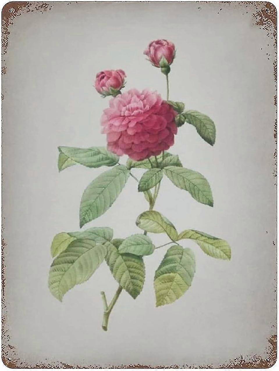 Placa de Metal Allium Scorzonera Folium Decoração 8x12 Polegadas OU 12x16 Polegadas Modo 1941