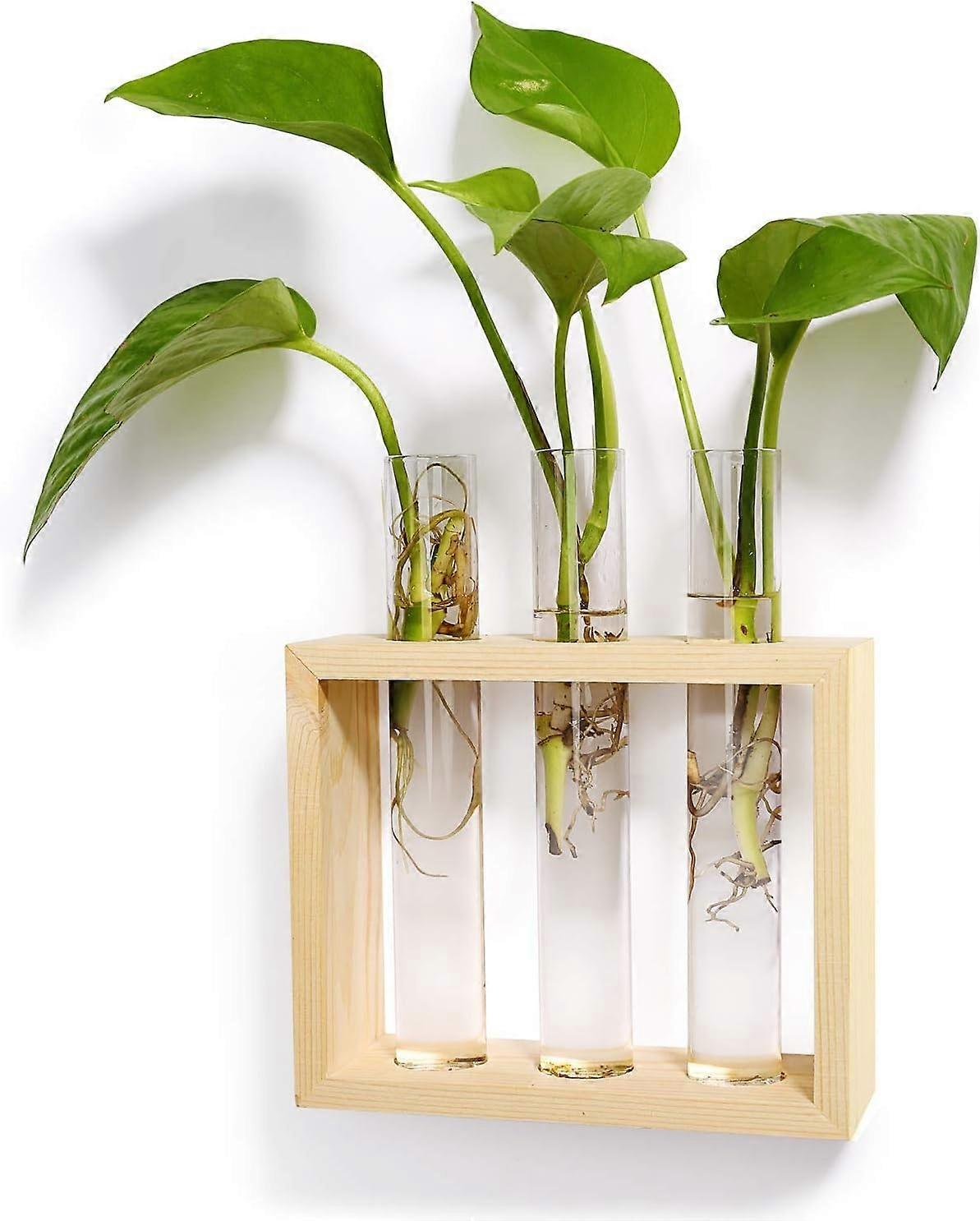 2025 وعاء نباتات زجاجي جديد مثبت على الحائط Terrarium إناء برعم زهرة حديث في سطح الطاولة الخشبي