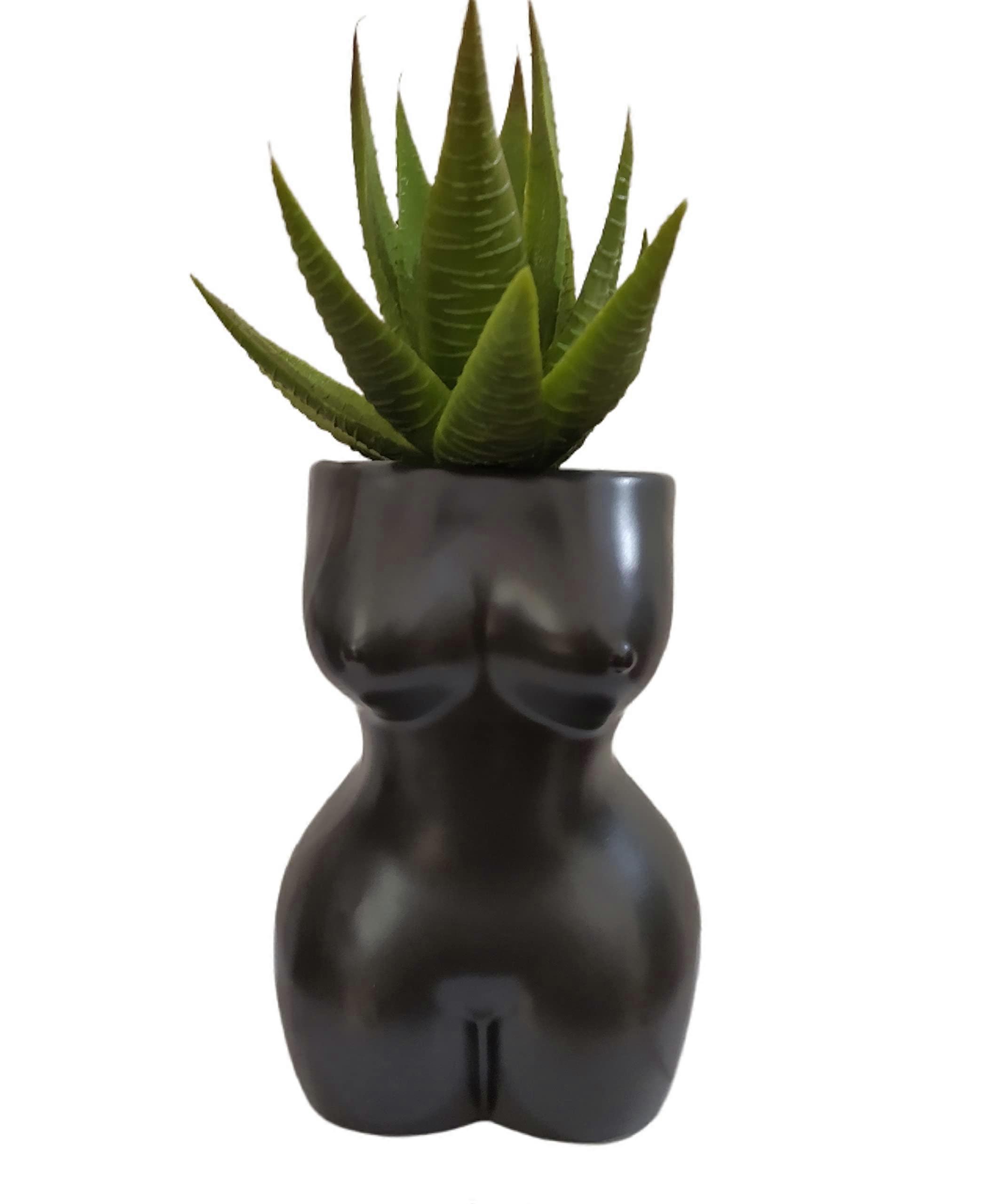 Cute ceramic succulent cactus flower pot for indoor use 4.7 inches