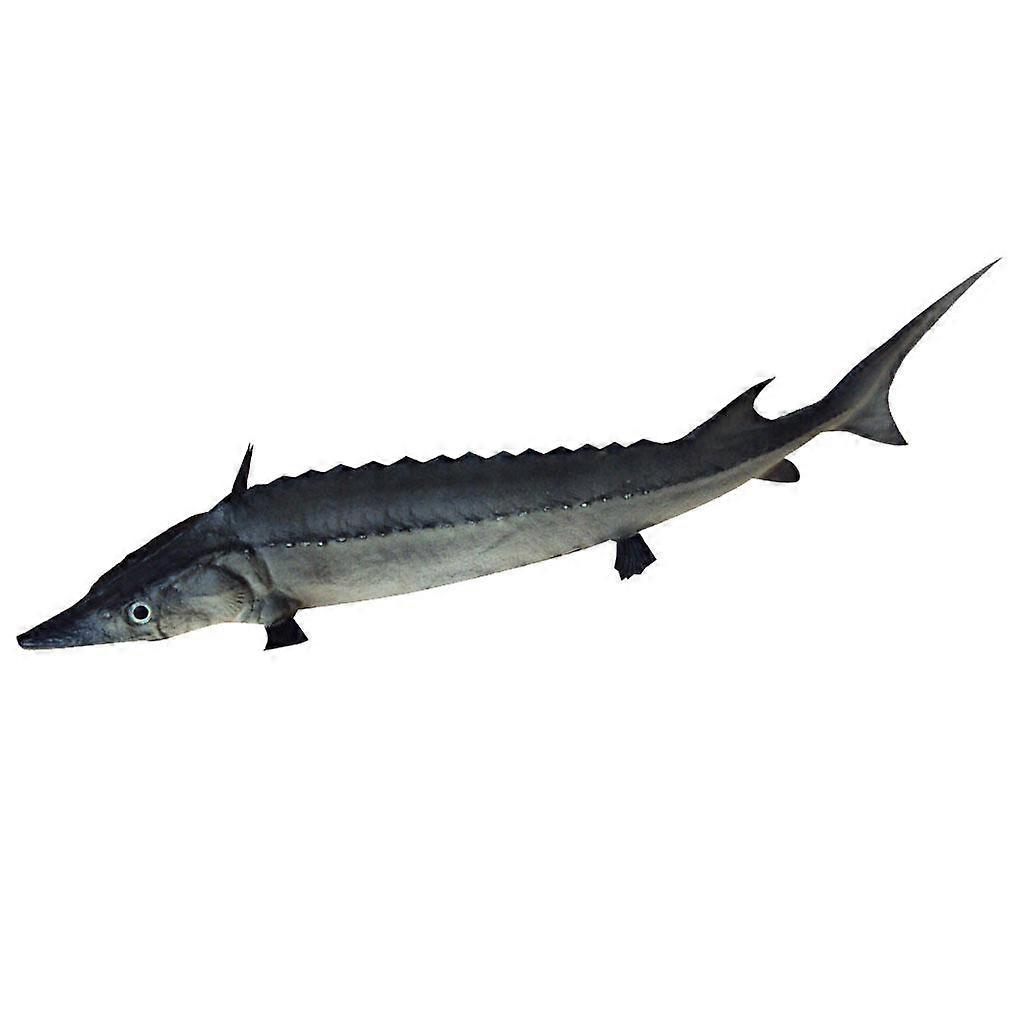 Lively Artificial Acipenser Sinensis