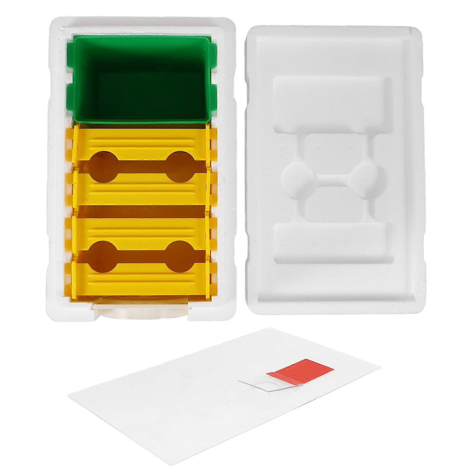 Bee Breeding Hive, Practical Tool for Raising Bees in Outdoor Spaces