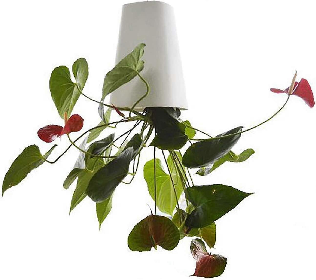 Indoor Hanging Planter White, Hanging Plant Holder, Hanging Baskets for Plants, Home Decor