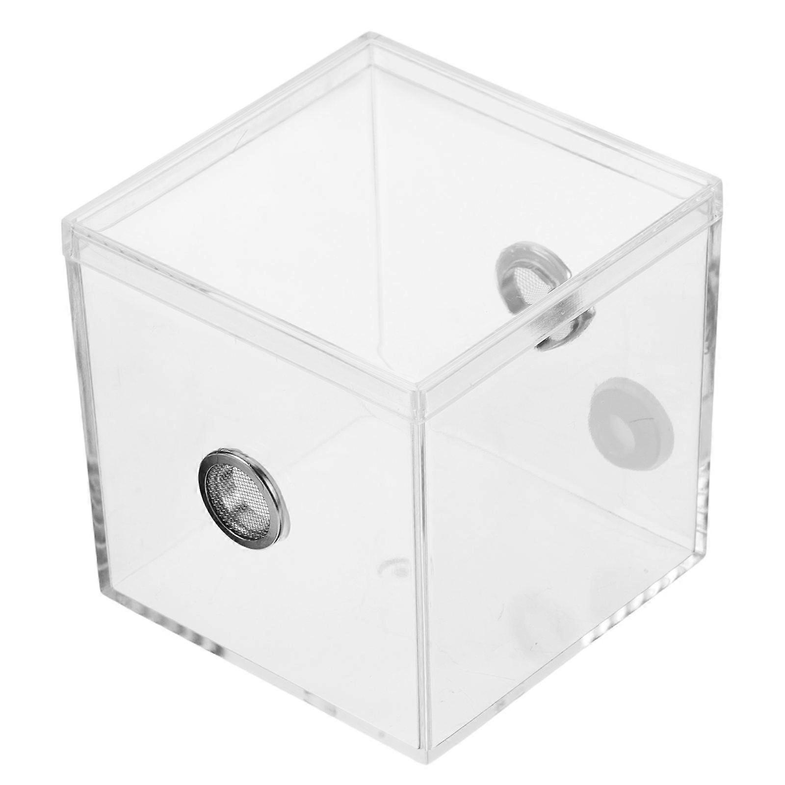 Bug Enclosure Transparent Spider Terrarium Outdoor Exploration Plastic Tank for High Transparency Observation 1Pack