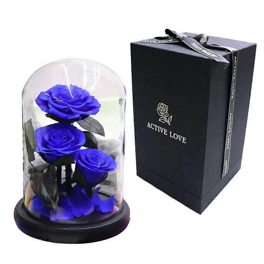 Valentines Day Eternal Flower Bottle for Decor with 2Pcs Glass Shade