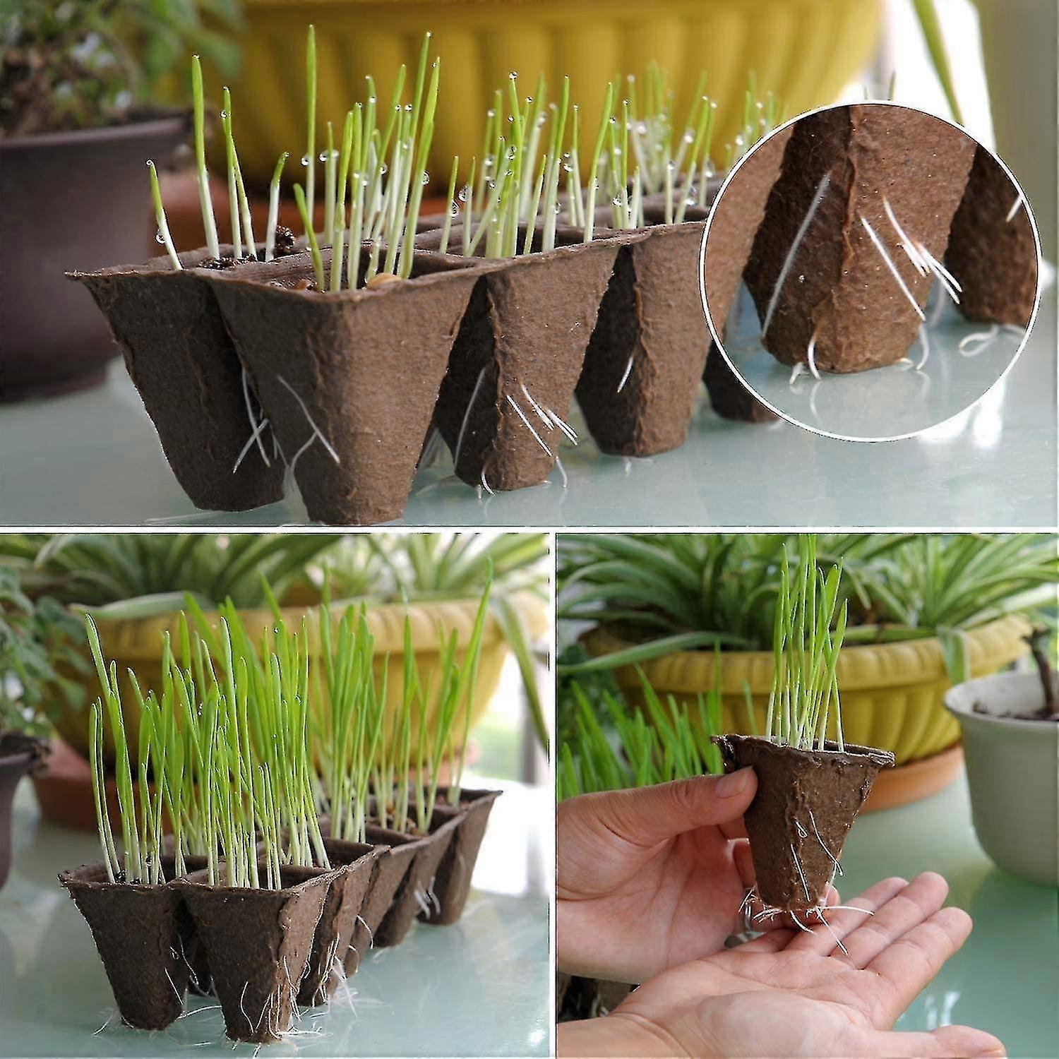 10 Seed Starter Kit 120 Compostable Planters Organic Biodegradable Seedling Trays Gardening Sprouting Trays Mini Propagator