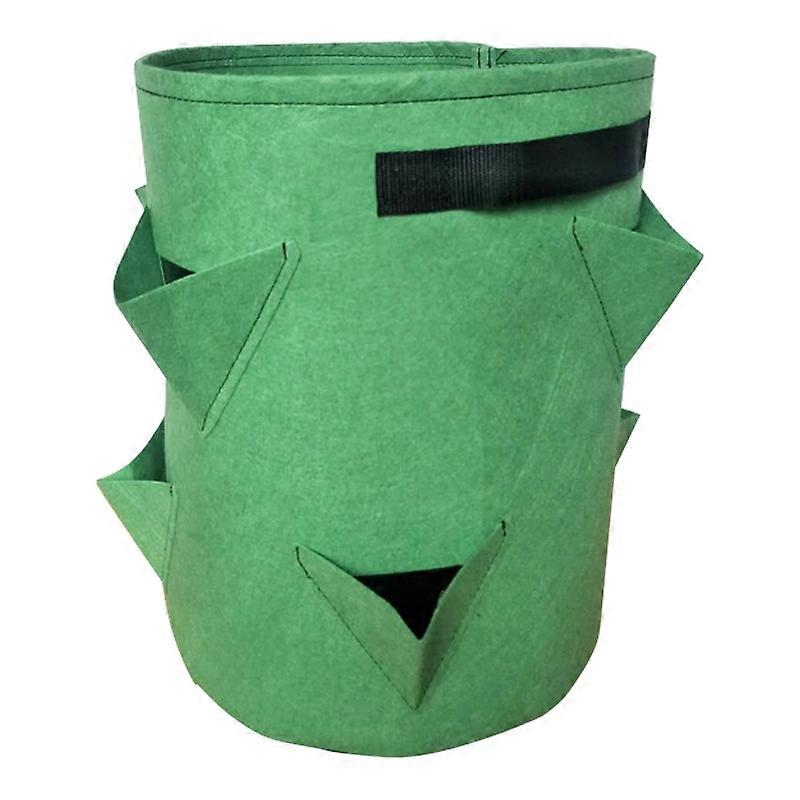 Non-woven Felt Strawberry Planting Bag