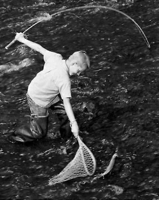 Boy Fishing At River Poster