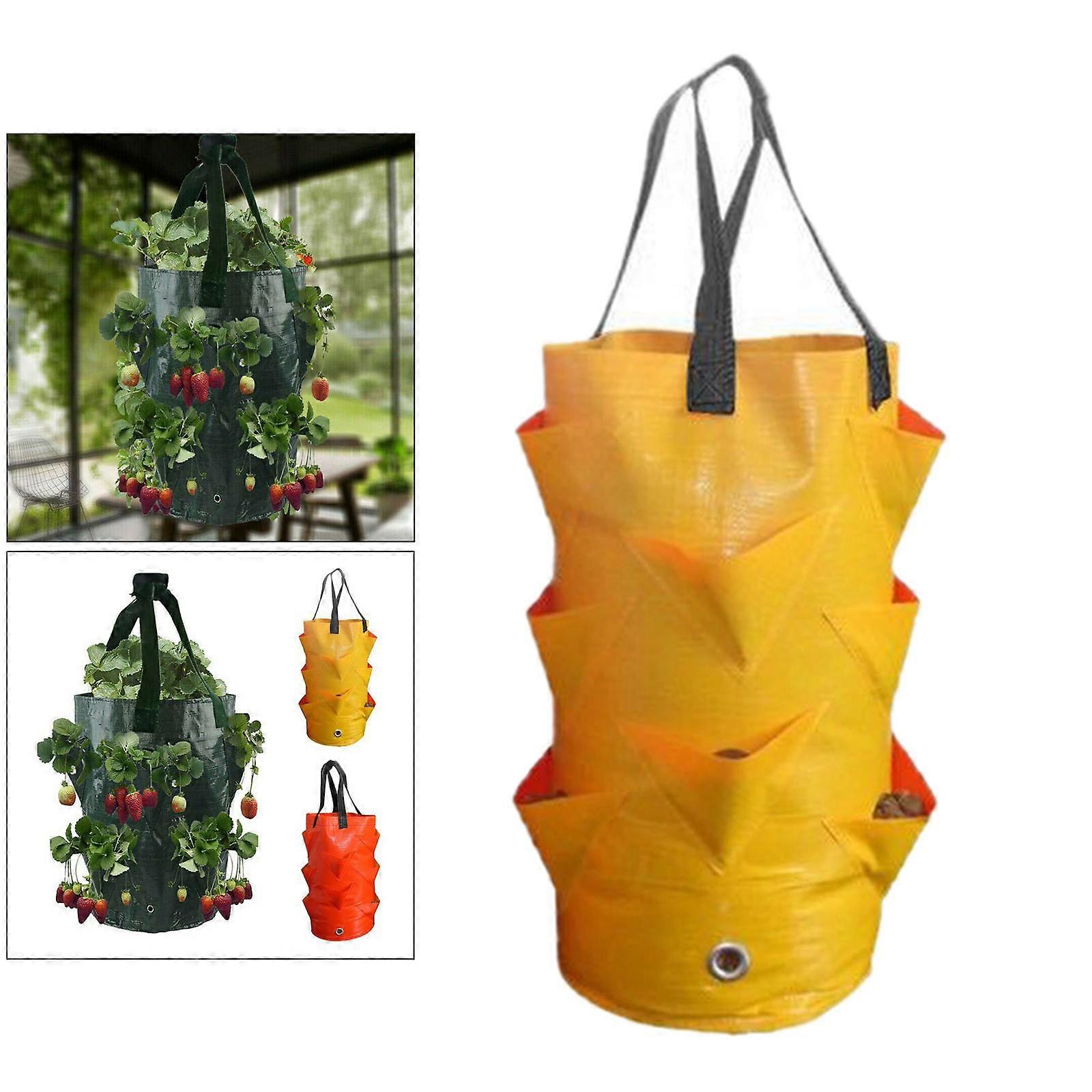 Plant P Plant Growing Kits Gardening Aeration P Pot for Vegetable