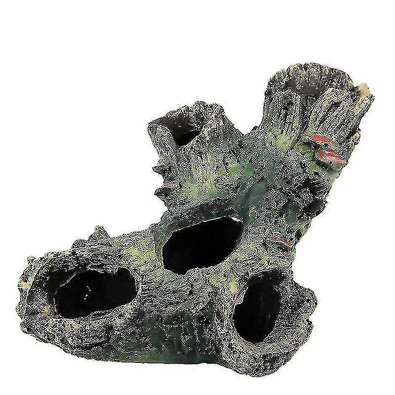 Tree Hole Hiding Cave Rium Reptile Habitat Landsca Hollow