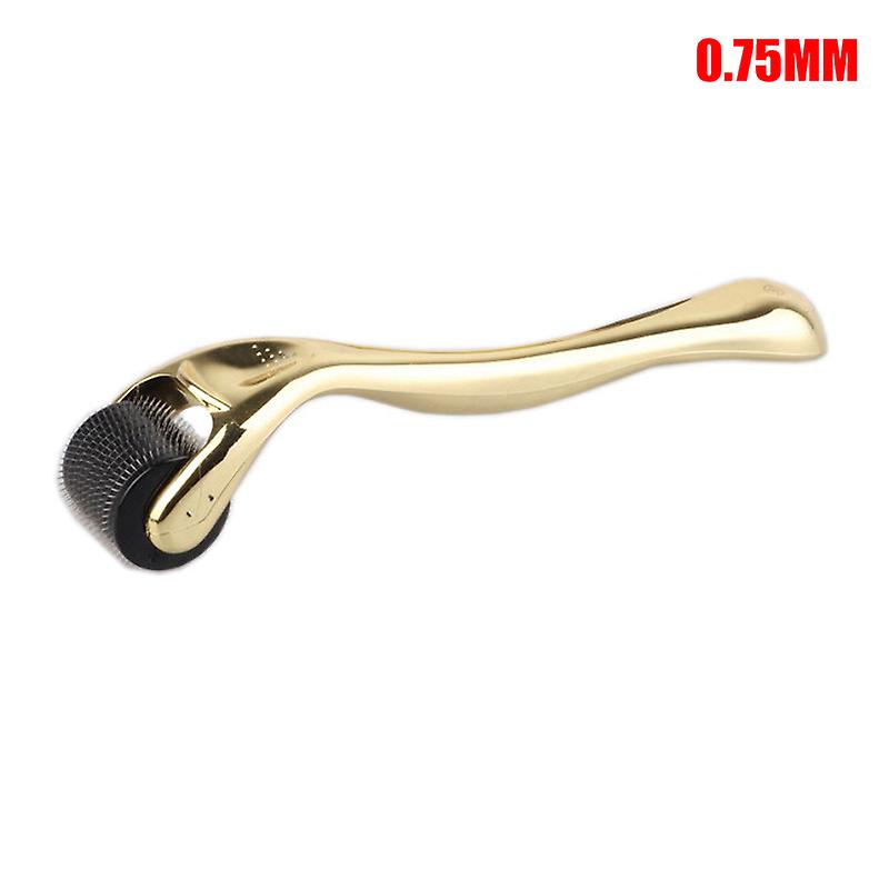 0.2/0.25/0.3/0.5/0.75mm Micro Needles Derma Roller Titanium Microneedle Roller For Face Body