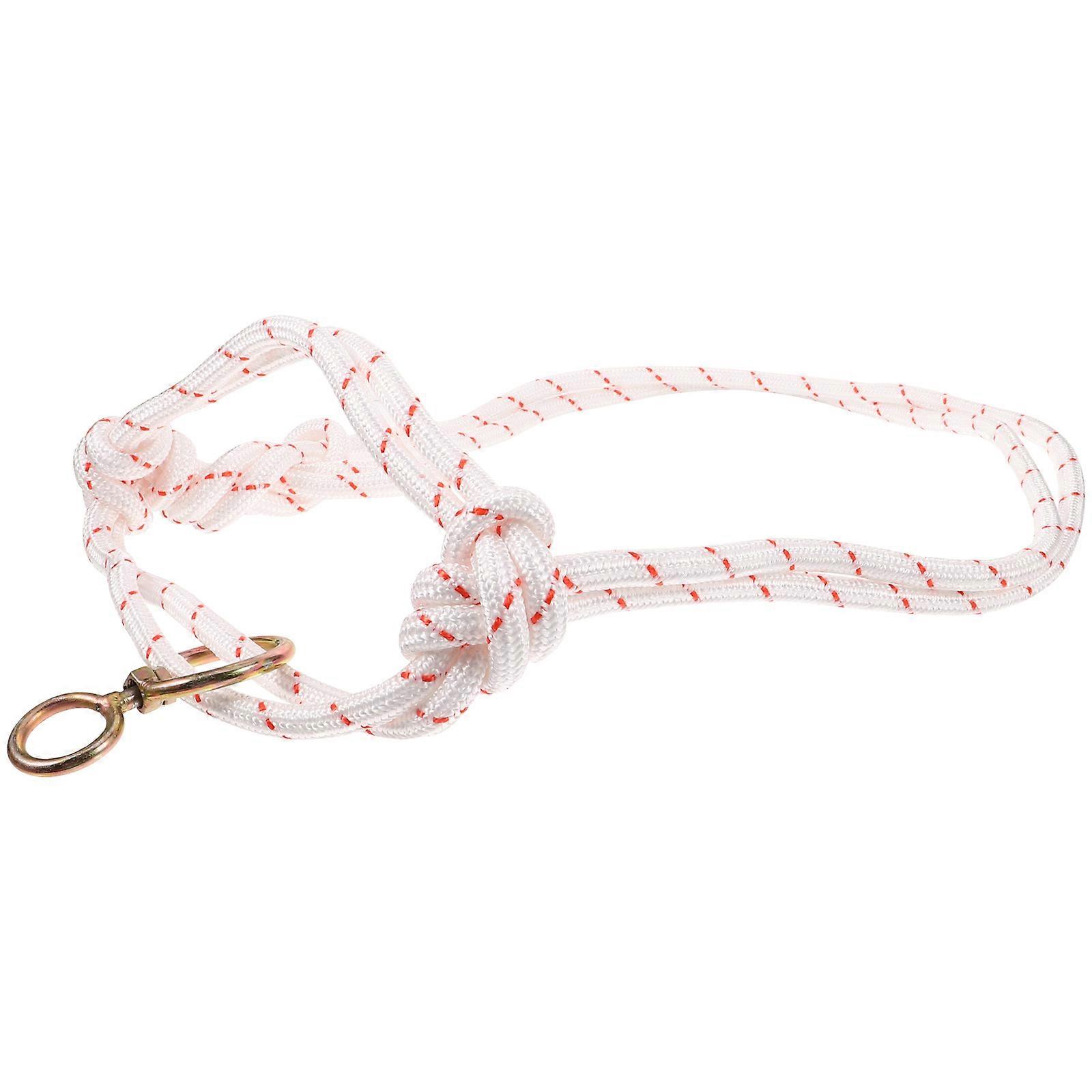 Durable Bitless Cattle Halter Headstall for Outdoor Use – Comfortable, Wear Resistant Livestock Control