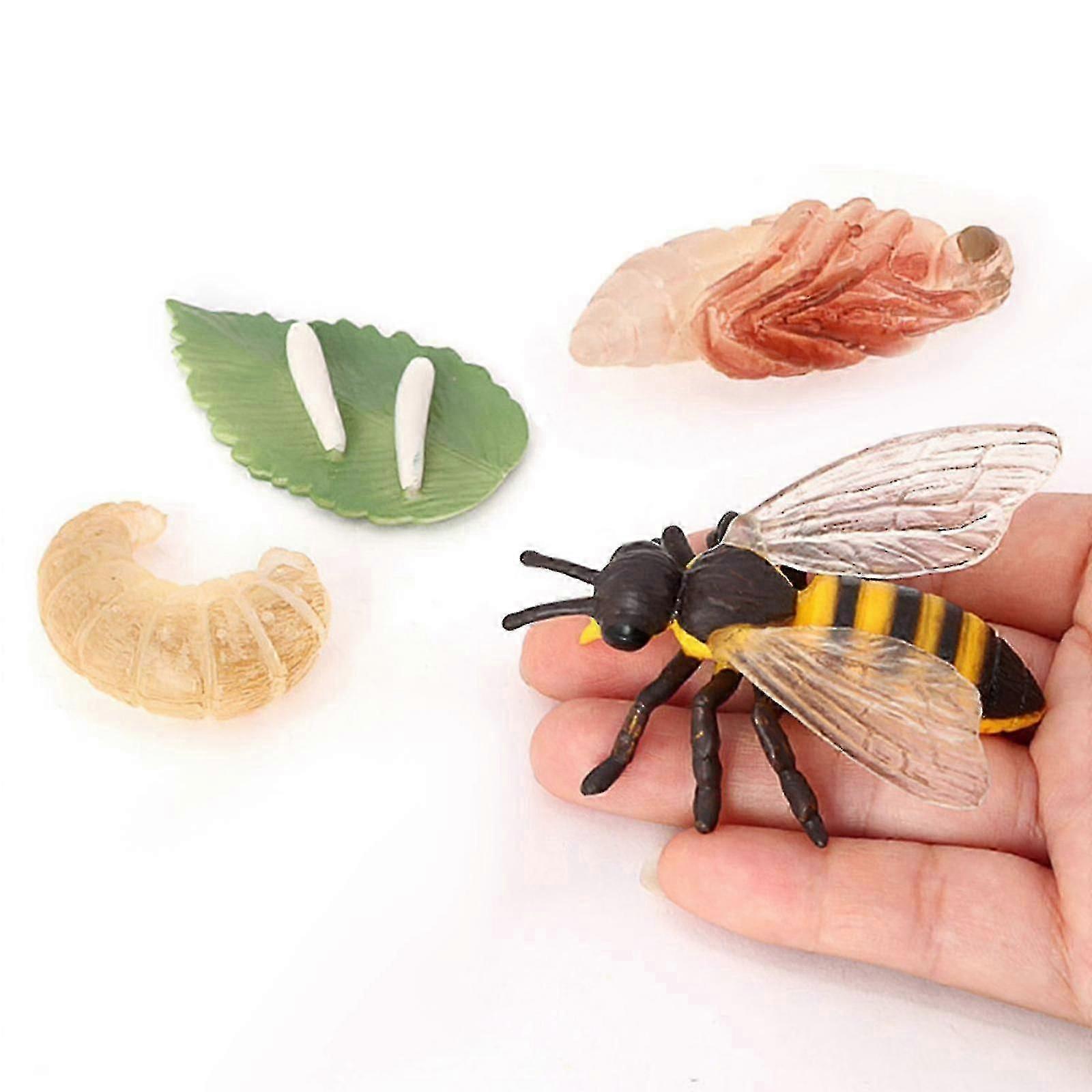 4xplastic παιδιά έντομο μέλισσα ανάπτυξης κύκλου ζωής αριθμούς εκπαίδευση μάθηση παιχνίδια