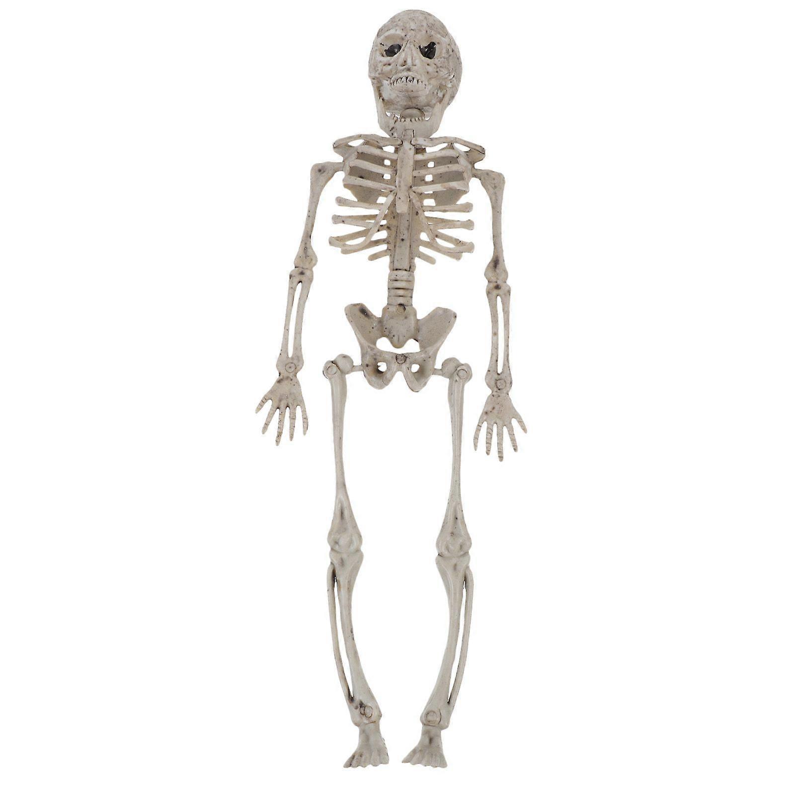 1Pc Halloween Skeleton Simulation Human Body Decoration Realistic Skeleton Model