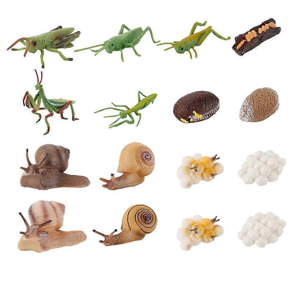 Animal Growth Model Kindergarten Science Tool for Kids 48Pcs Set