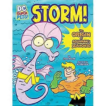Storm!: Aquamanin merihevosen alkuperä