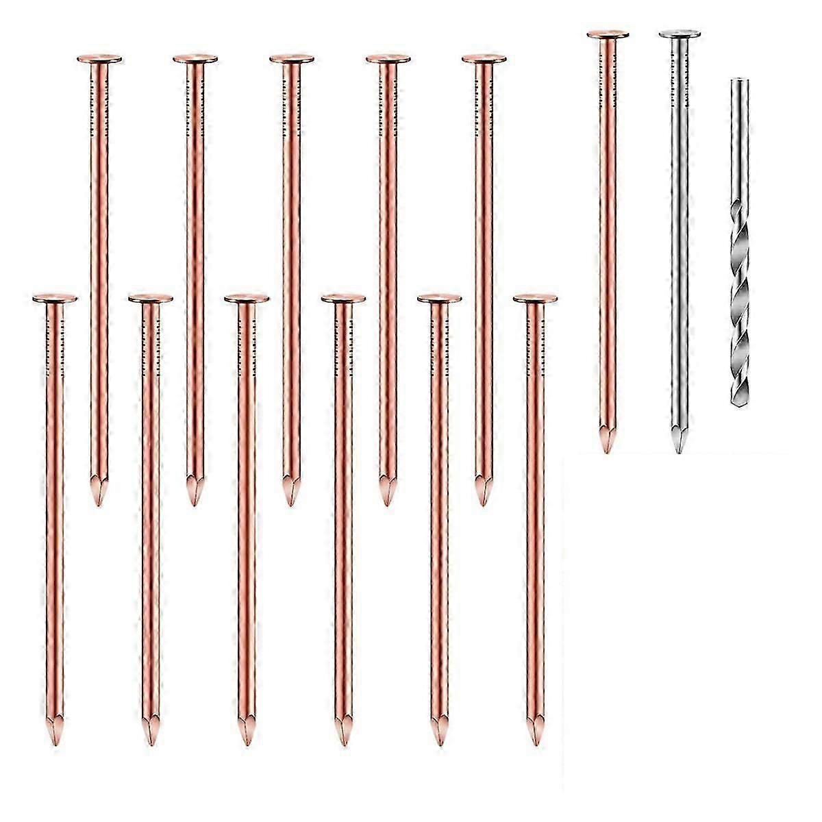 Copper Nails Kit for Tree Killing, Stump Removal Hardware