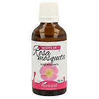 Rosehip Oil 50 ml