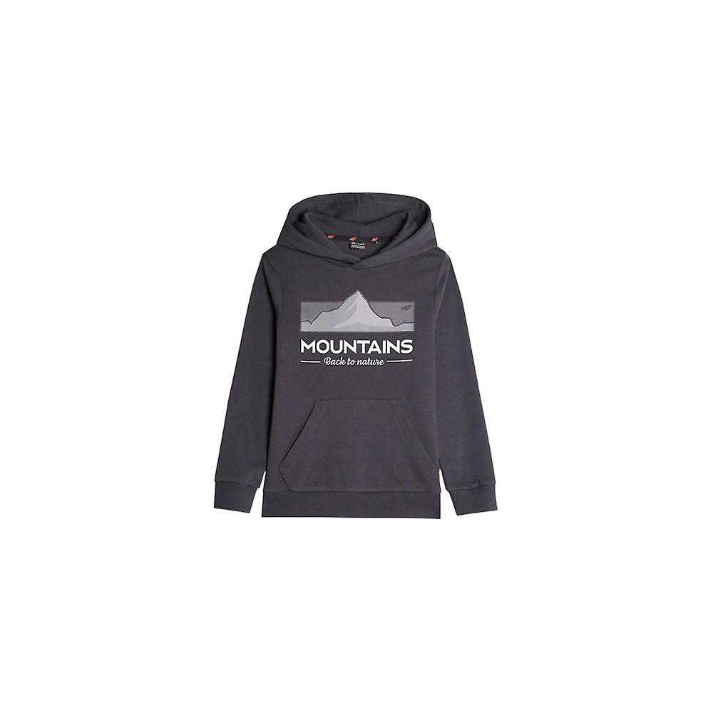 Hoodie 4F 4FJAW23TSWSM63422S