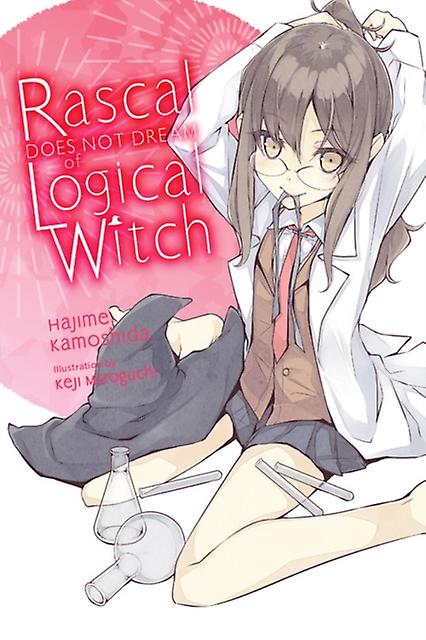 Rascal Does Not Dream Of Logical Witch Light Novel by Keji Mizoguchi Paperback
