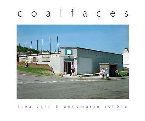 Coalfaces by Annemarie Schoene Paperback Book