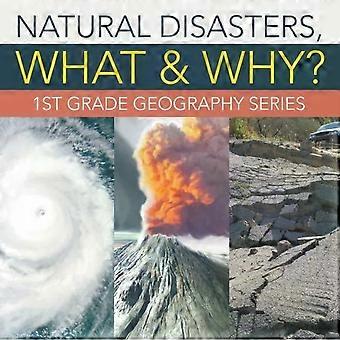 Natural Disasters What & Why 1st Grade Geography Series - Baby Professor