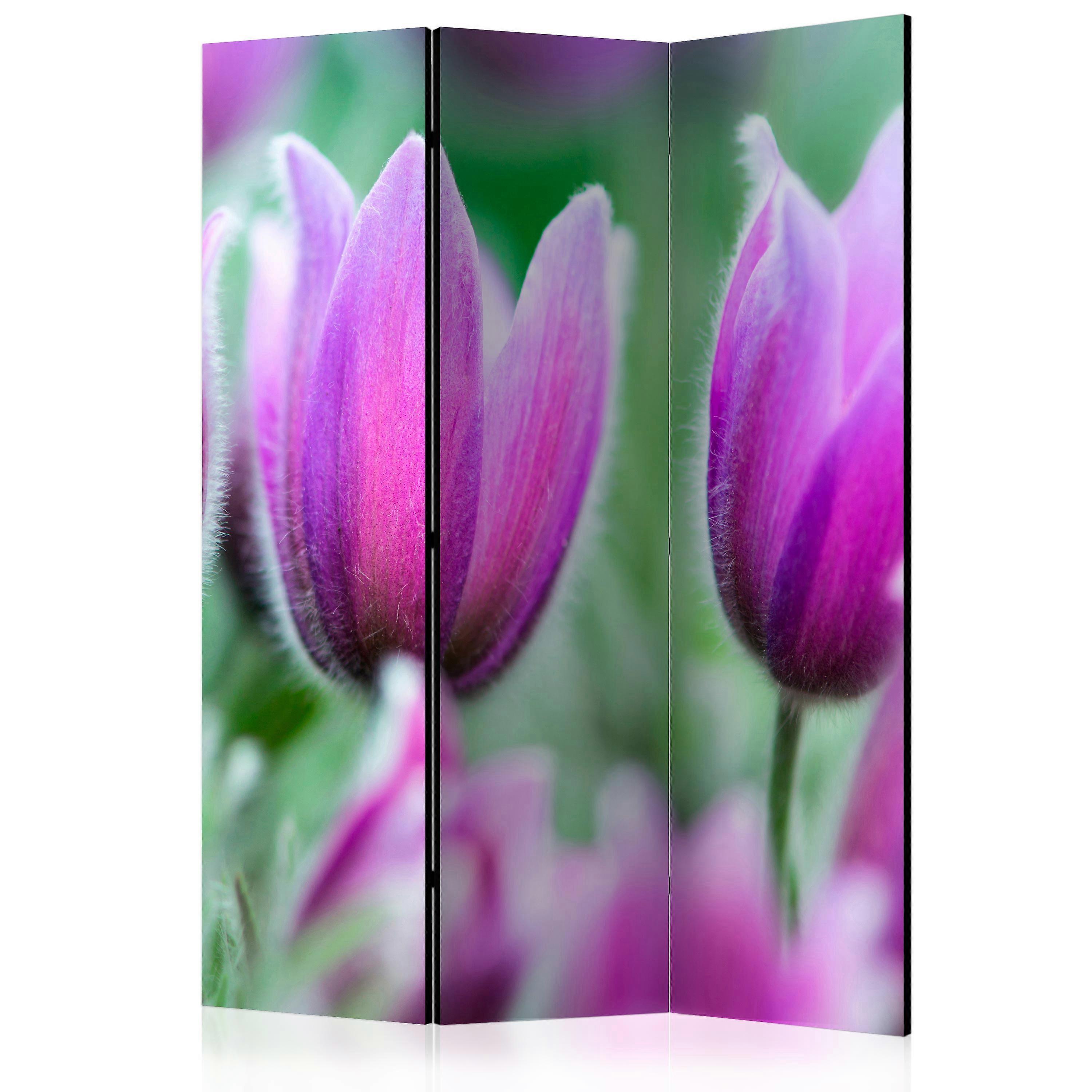Room Divider - Purple spring tulips